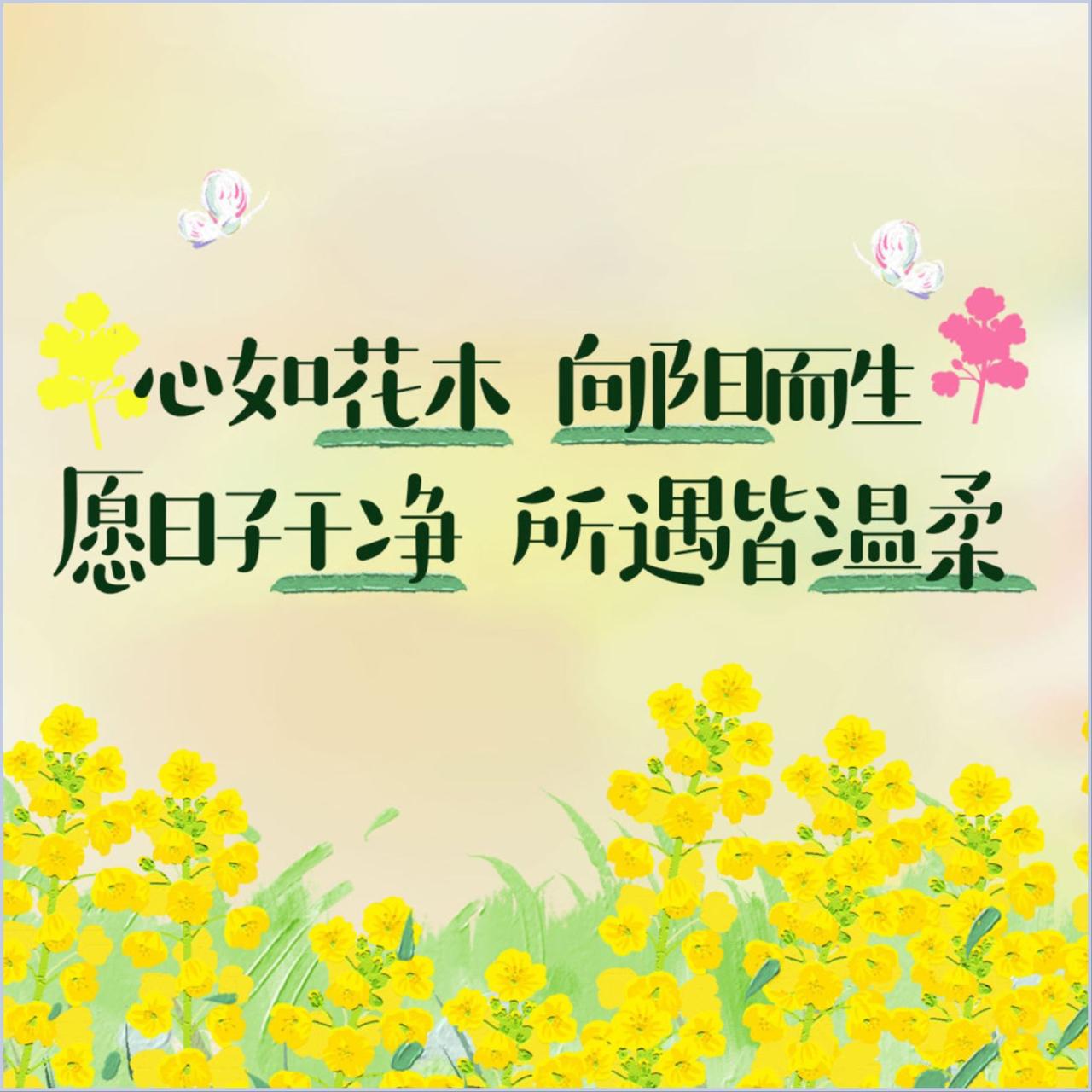 一位老教授说：努力是燃料，不是目的地。盯着里程表跑，永远到不了终点。

太多人把