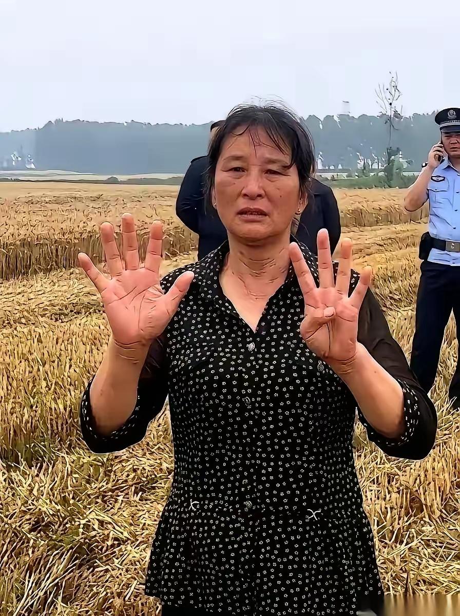 襄阳那场麦收风波，结局比过程更带劲。
闹到最后，大妈托侄子，给河南那对小夫妻转了