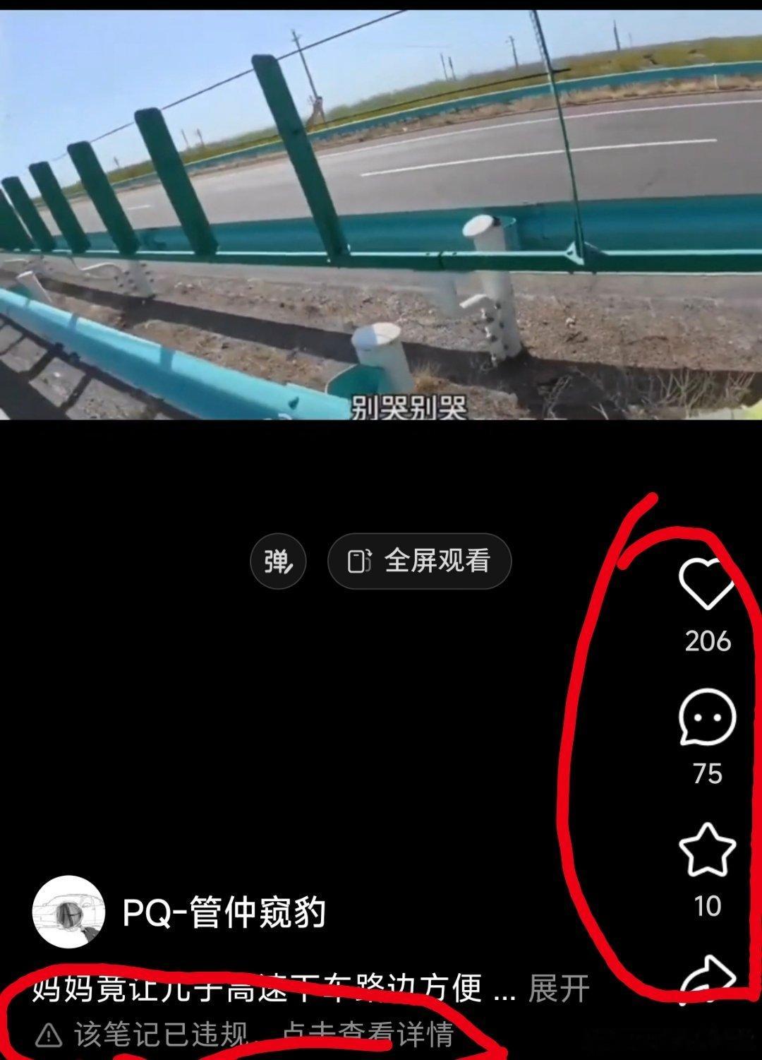 妈妈竟让儿子高速下车路边方便 资本的力量 ​​​