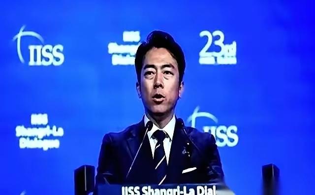 那段香格里拉对话会的视频，终于还是被捅出去了。

这场会议来了世界各国的代表，现