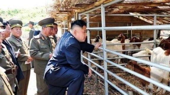 朝鲜人很少吃猪肉。不是朝鲜人不想吃或少吃猪肉，而是对于绝大多数普通民众来说，猪肉