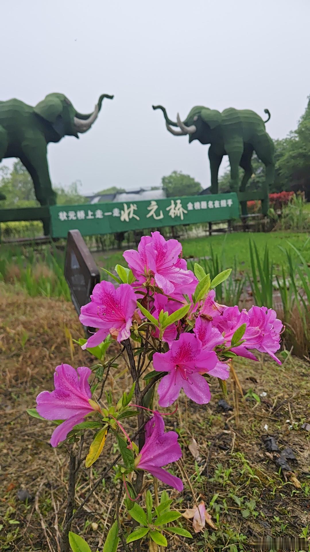 北汤旅游节来长兴北汤必打卡！走状元桥，接金榜好运！🌸长兴北汤状元桥 浙江长兴旅