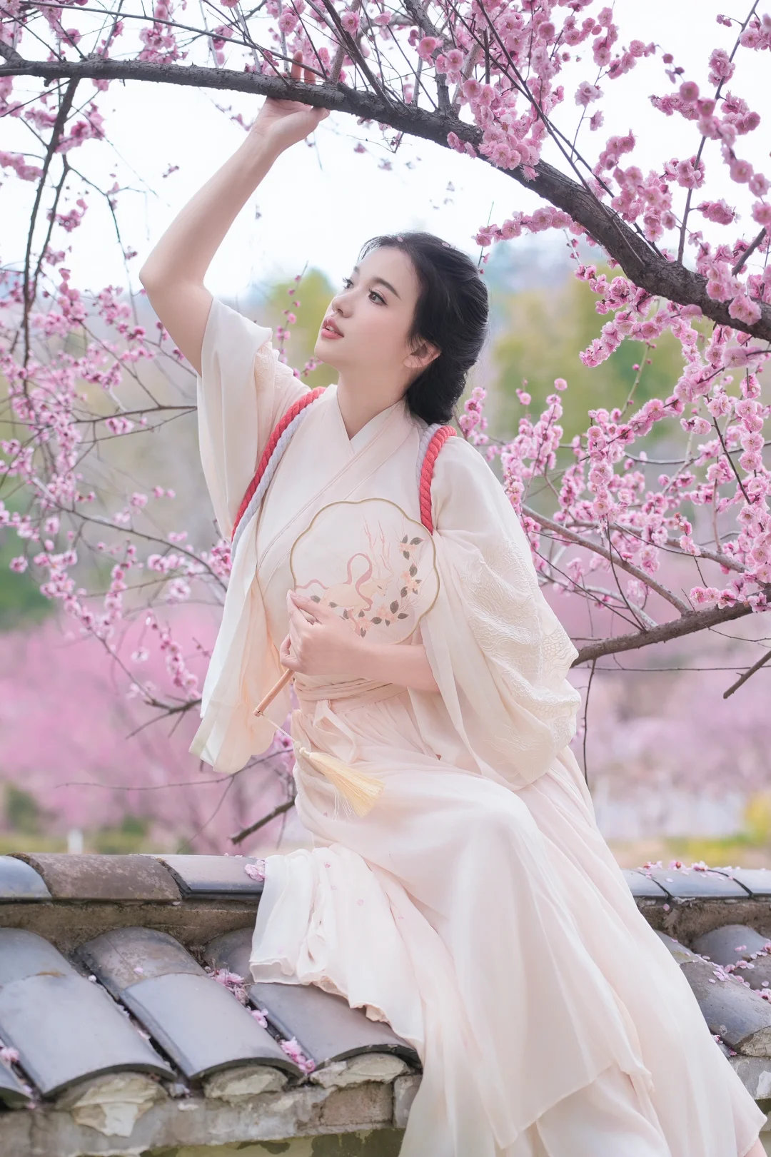 🌸 墙头梅花 武汉赏梅拍摄天花板 花乡茶谷