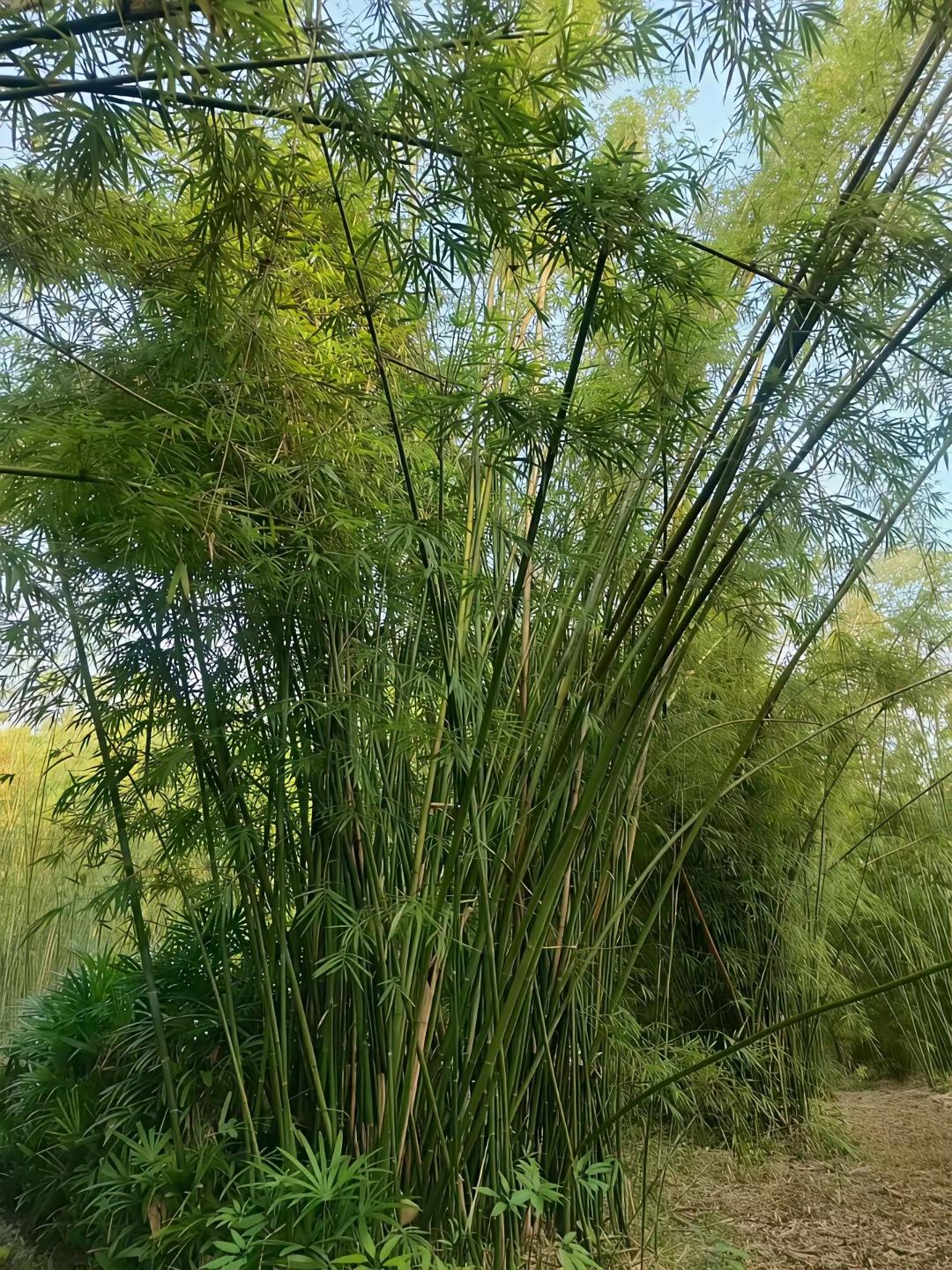 二选一？
不给看孩子就得掏钱，不然就和你没完？这是儿媳给婆婆下的最后通牒！自己看