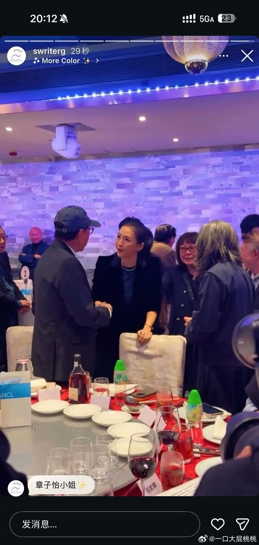 章子怡亮相🇭🇰电影编剧家协会，压力给到金像