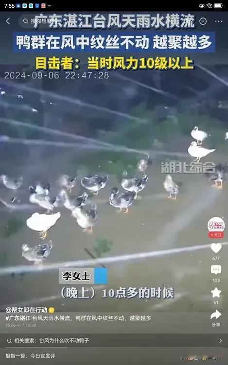 大风把窗户吹掉，破坏了很多建筑，人在风中是站不稳的，有的人都被吹倒了。可是这些小
