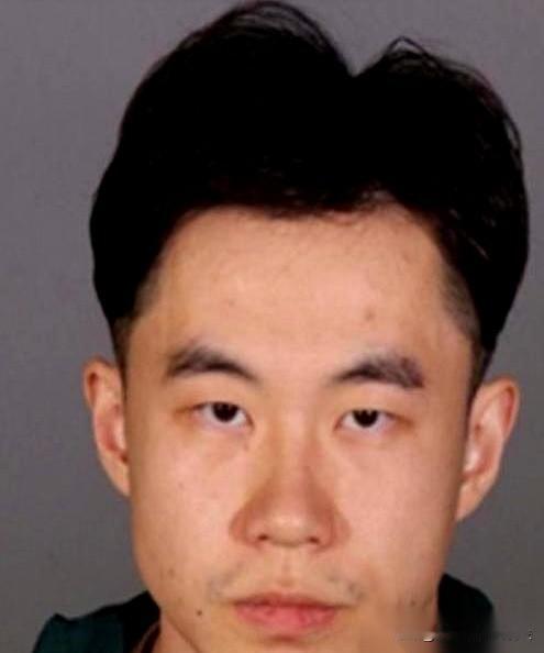 [兔子]张大鹏，一个哈工大毕业、在法兰克福拿高薪的 IT 经理。如果不是德国警方