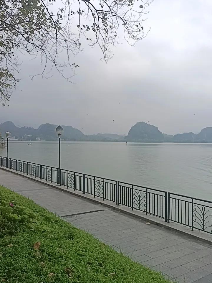 你敢相信吗？竟然有一群麻鹰在星湖上面飞。
好像在捉鱼或者做什么事。
这样的情况很