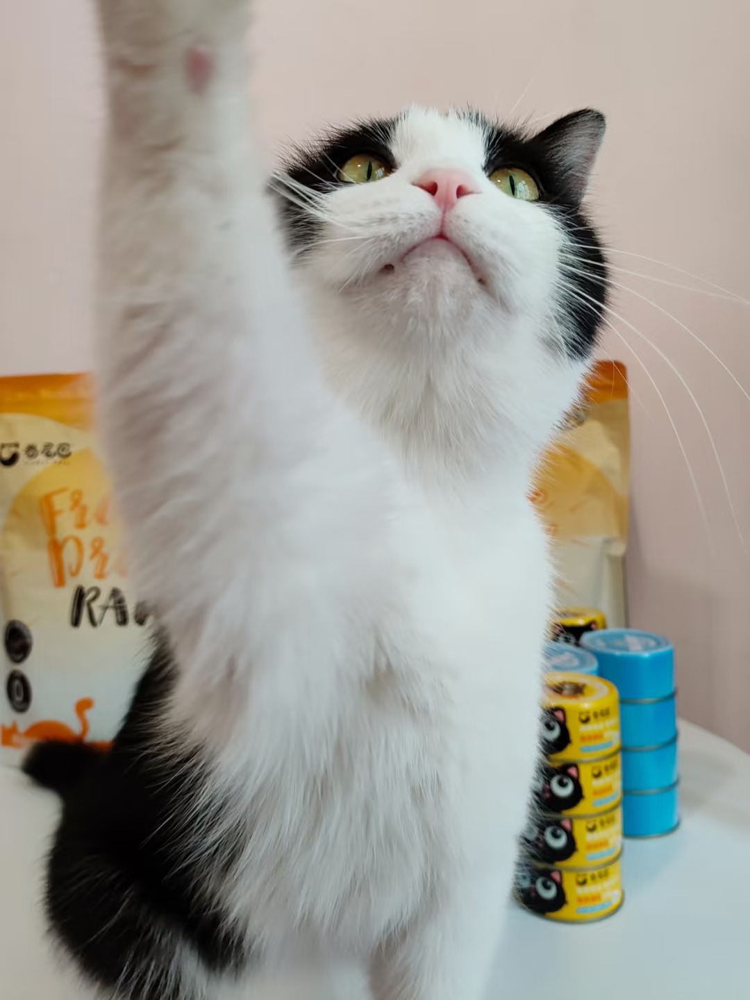 咪家长买东西停不下来