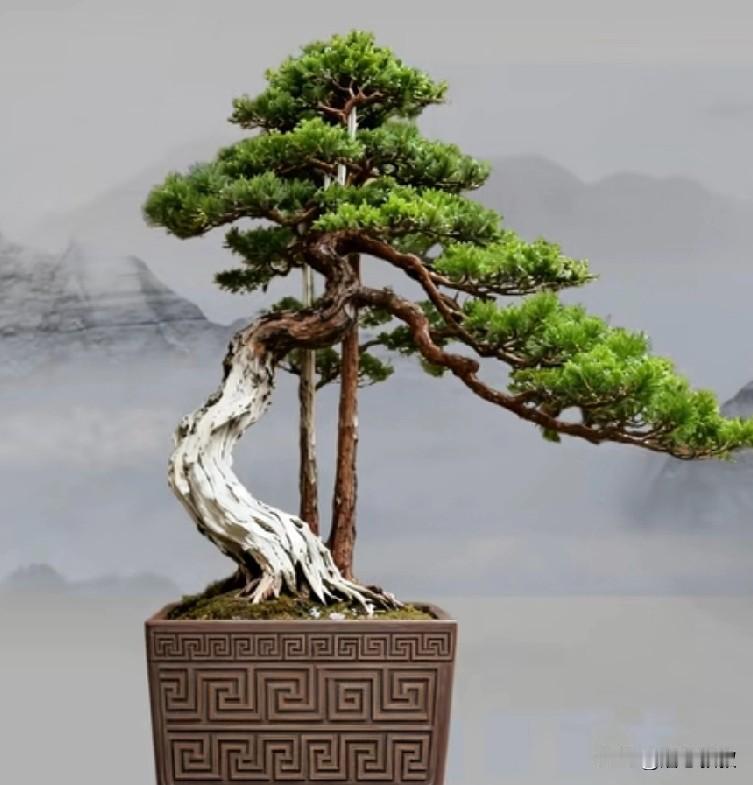 在农村是不是每村都有一个特别精明的人，虽然在村没有大富大贵，但提起他来都觉得他特