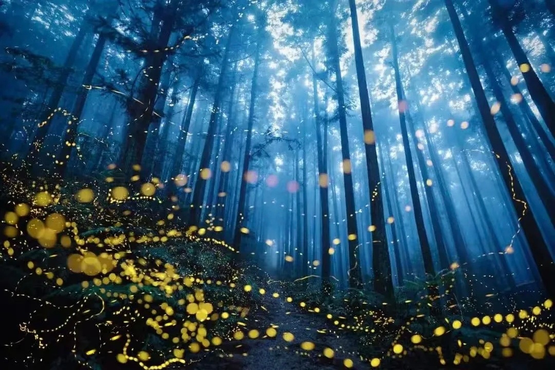 网页链接    悦读荟智慧火花：你所有的压力，都是因为你太想要了，你所有的痛苦，