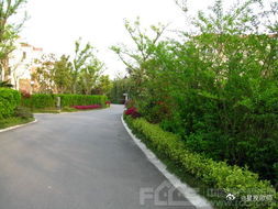 四周环境 　　楼房风水的好坏，首先要这栋楼房周围的环境情况，前后左右的道路、河流