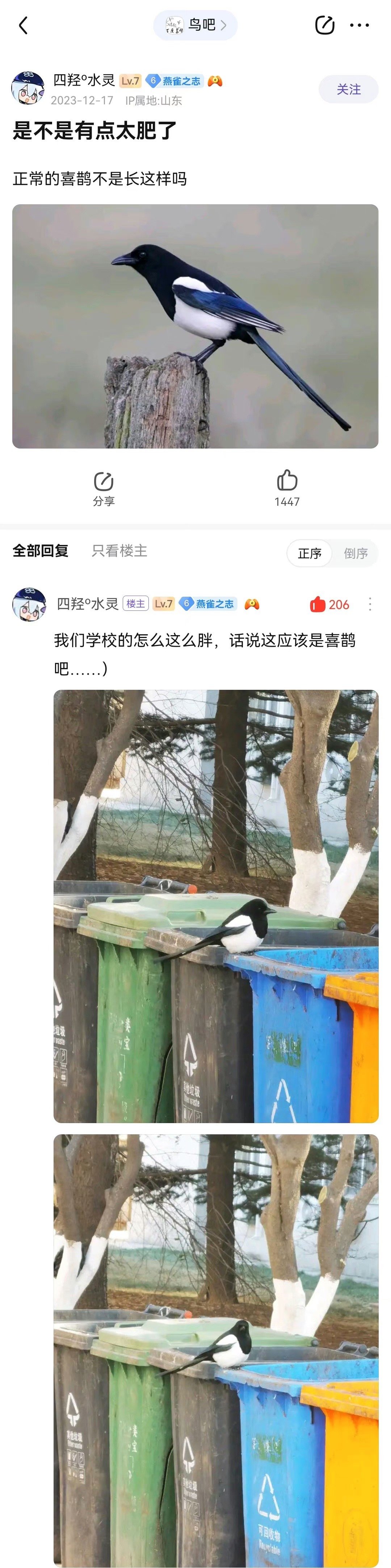 笑死 ​​​