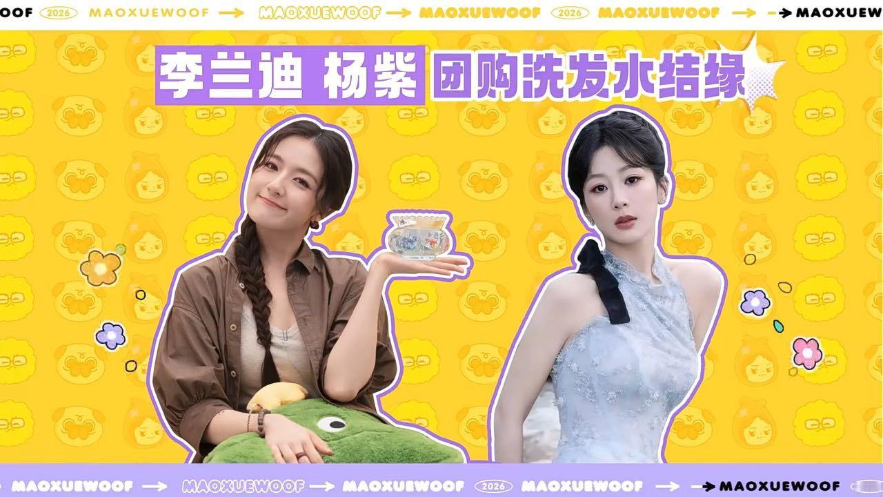 杨紫李兰迪吃饭先团券杨紫李兰迪吃饭aa制毛雪汪 看毛雪汪聊到杨紫和李兰迪，通过团