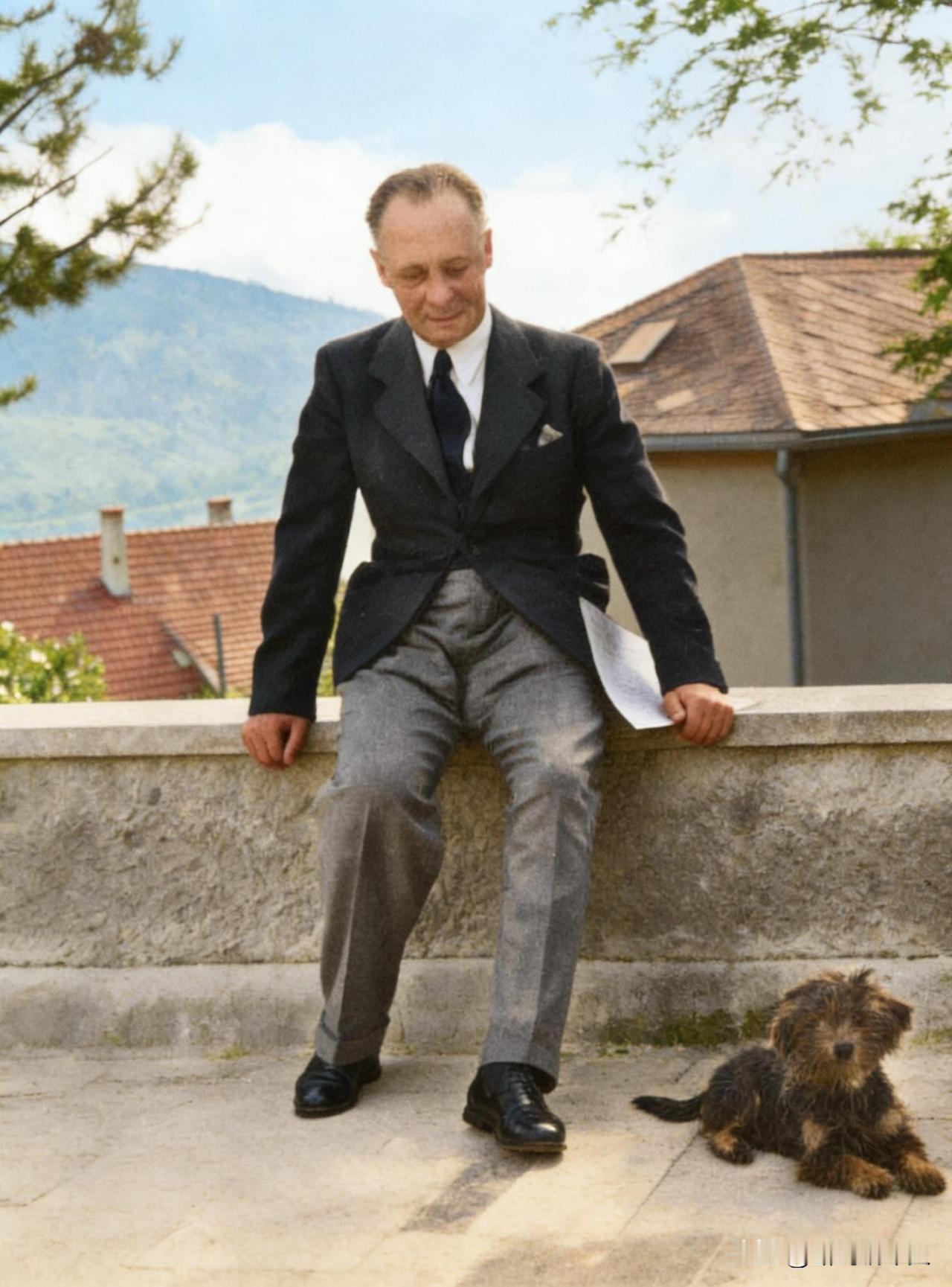 1944年10月的一天，隆美尔正在遛狗，此时他的脸上写满了疲倦。不久后的10月1