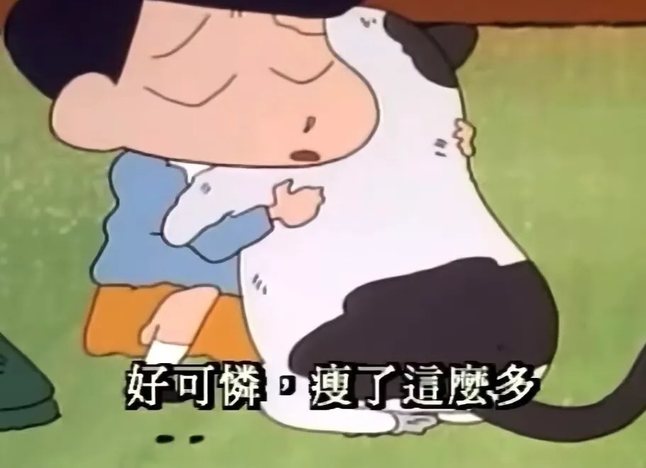 只要半天没有见我的猫我就会： 