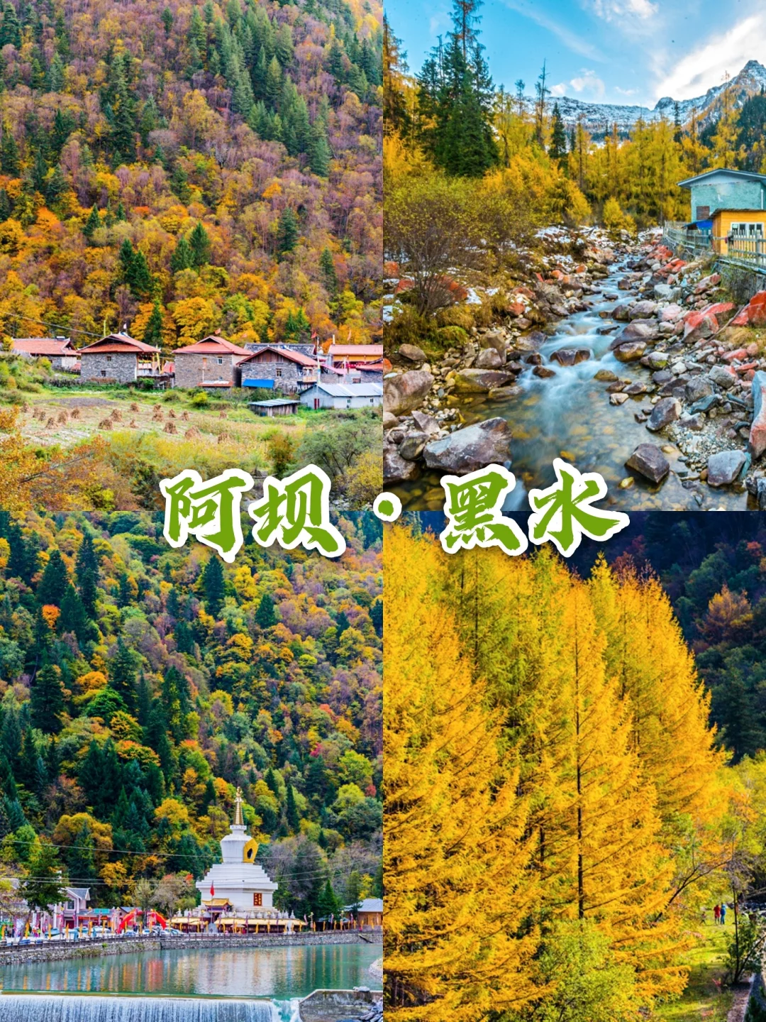 彩林季|一个叫黑水的地方，却如此五彩斑斓