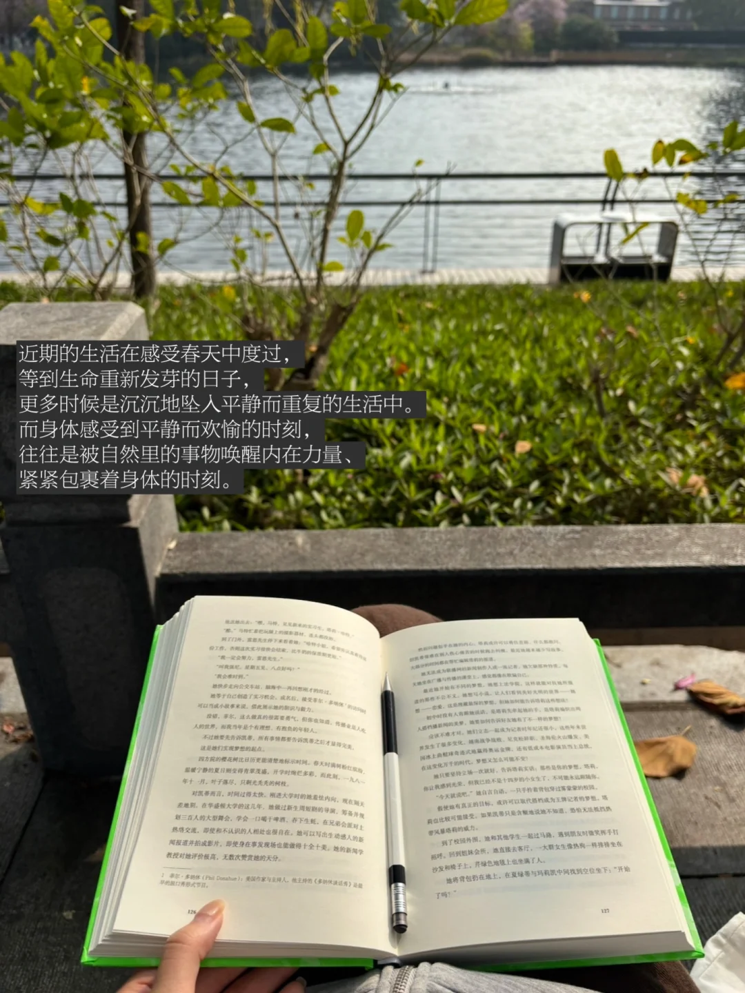 去看见，去感受，去成为春天里缓慢的行者。