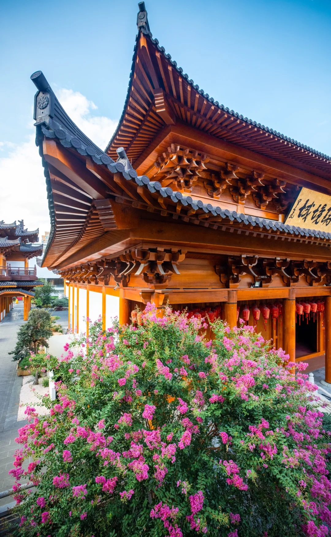 宝庆讲寺｜紫薇花开那就祝我们好运常来