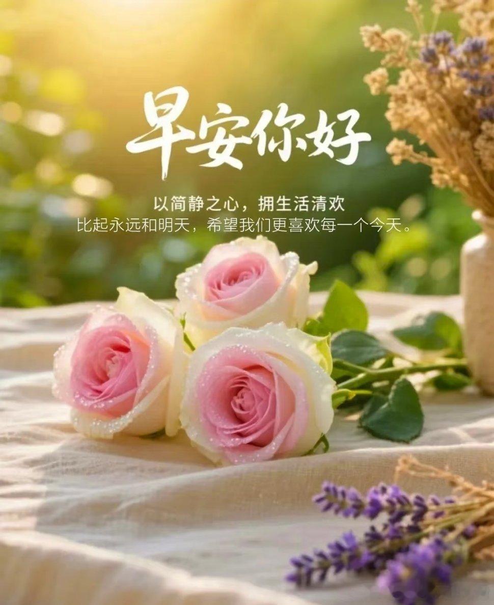 大家早上好在线的168都刷起来，铁粉太少了，都起来多评论多转发多点赞成为铁粉才能