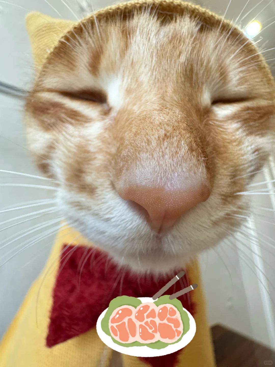 人，没有什么是一块五花肉解决不了的