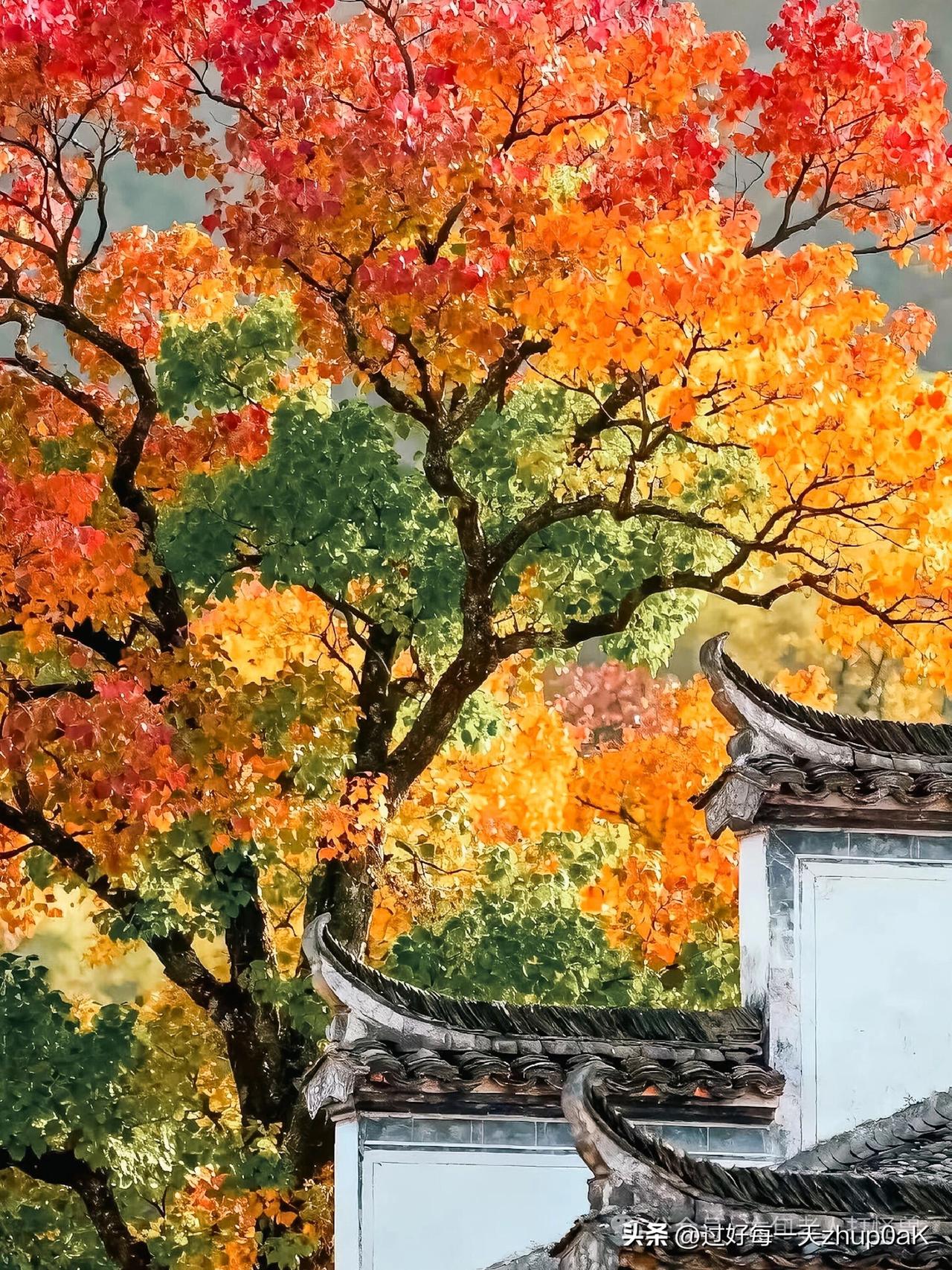 《秋意》
——明.谢复
西风吹动客边秋，
散作游人鬓上愁。
惟有阶前明月好，
夜