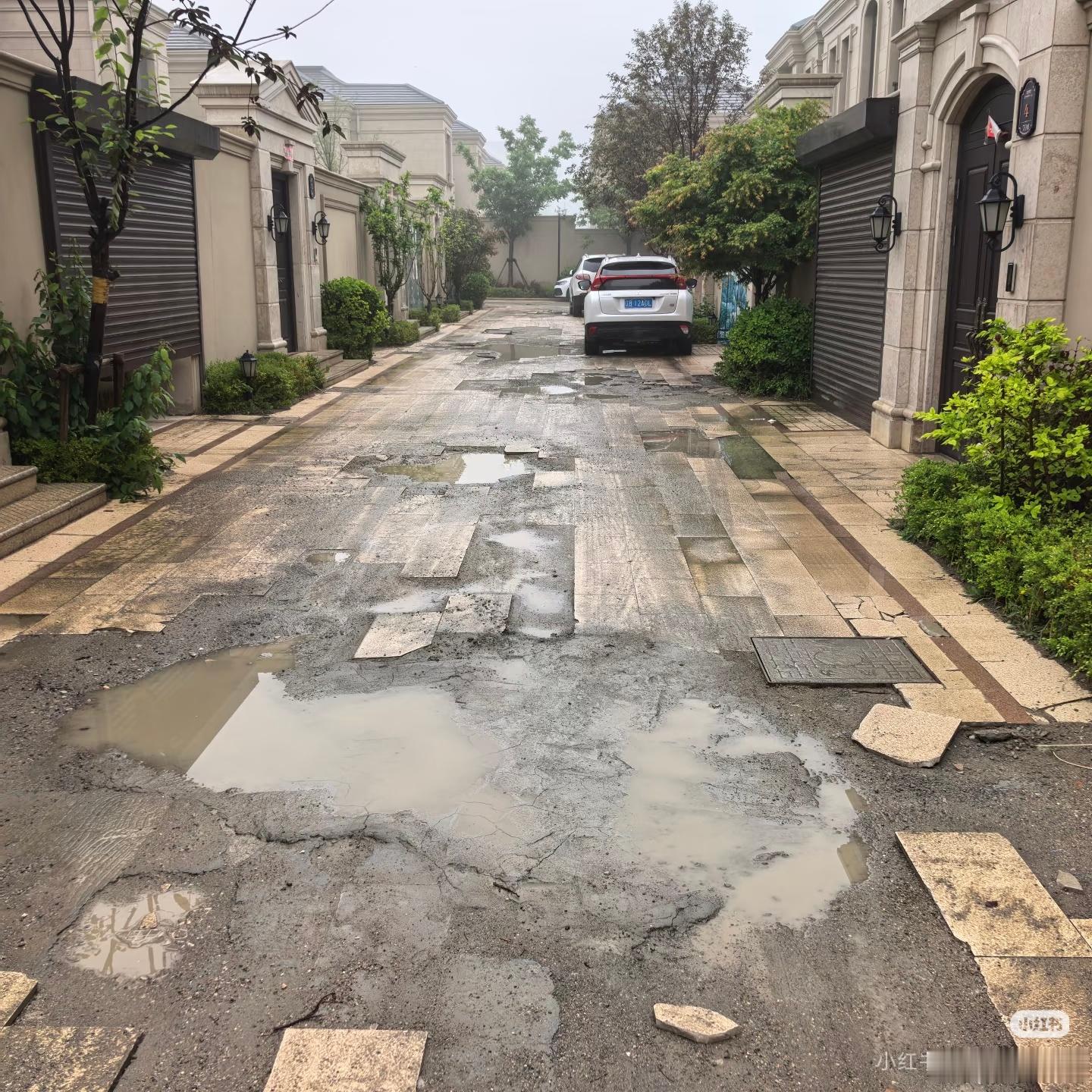 大连网友发帖：中国绿城的领导还有喘气的吗？这几天大连街下雨金石滩葡萄园小镇的路都