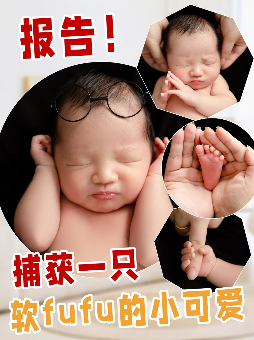 我们家掌心里的宝贝|好可爱的一小只