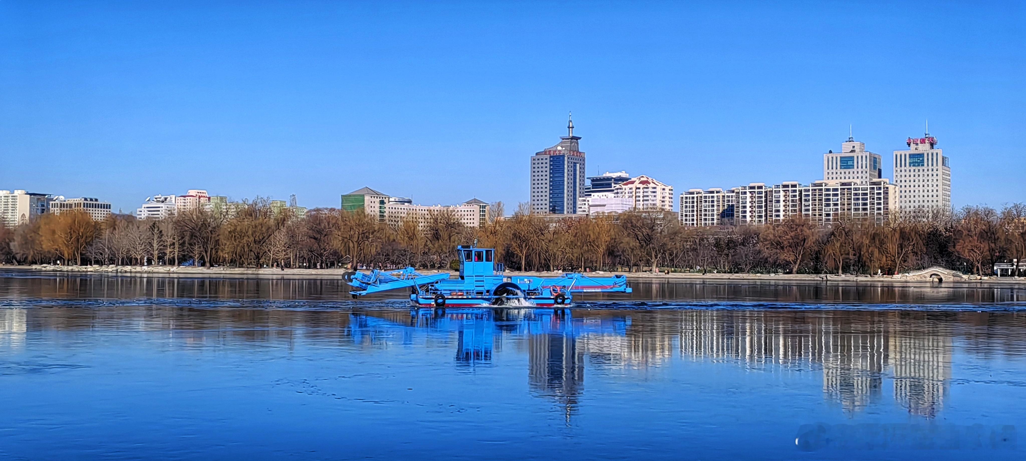 冬日玉渊潭公园2026.1.2摄影