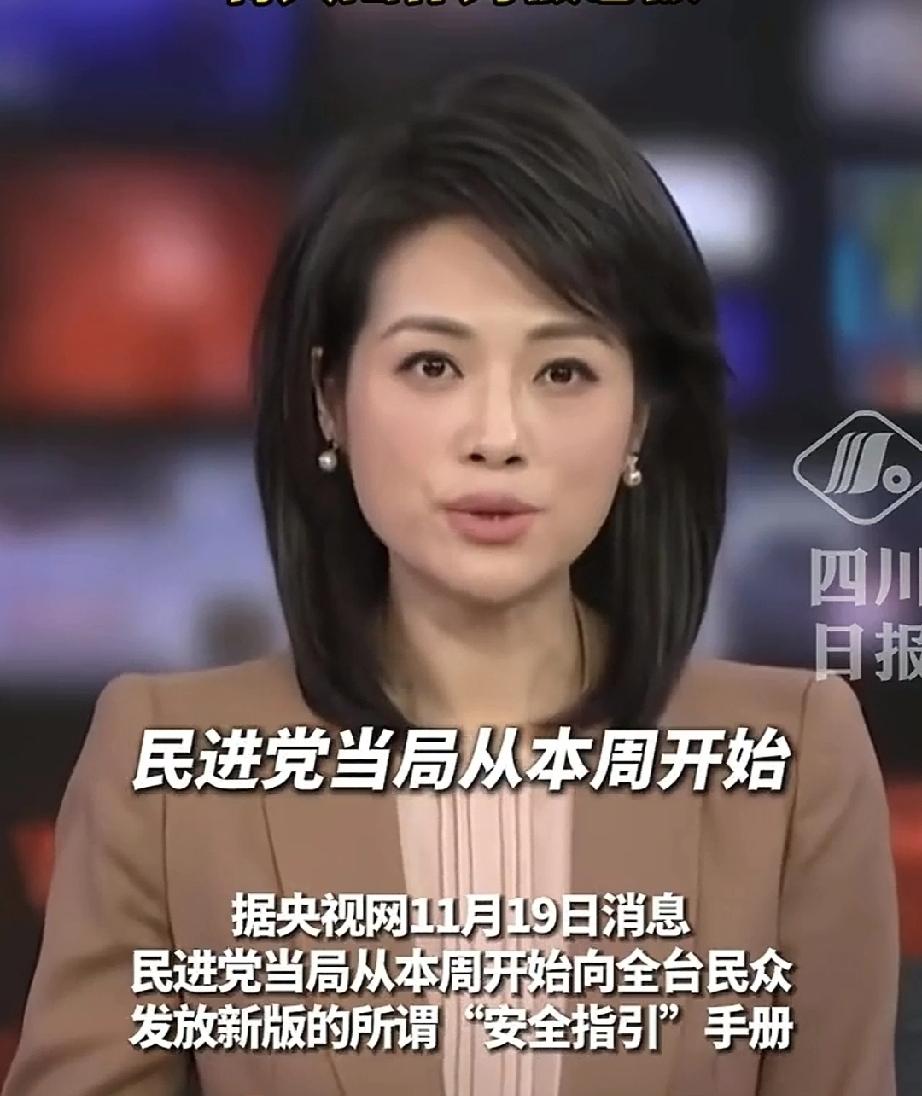 11月19日央视报道，台民进党当局向全台民众发放新版“安全手册”。该手册把大陆作