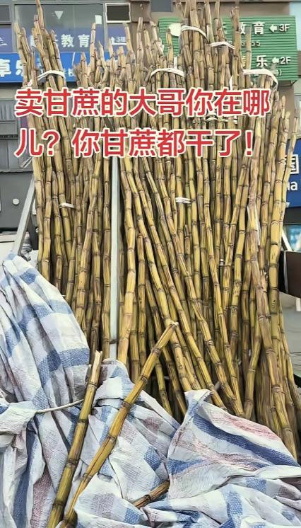 太暖心了，四川，一男子发现，楼下常年摆摊卖甘蔗的大哥从过年之后就没出摊了，路边三