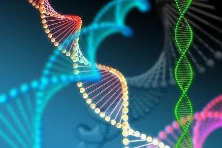 基因是我们身体的“蓝图”，它们决定了我们的外貌、健康和很多身体功能。随着科学技术