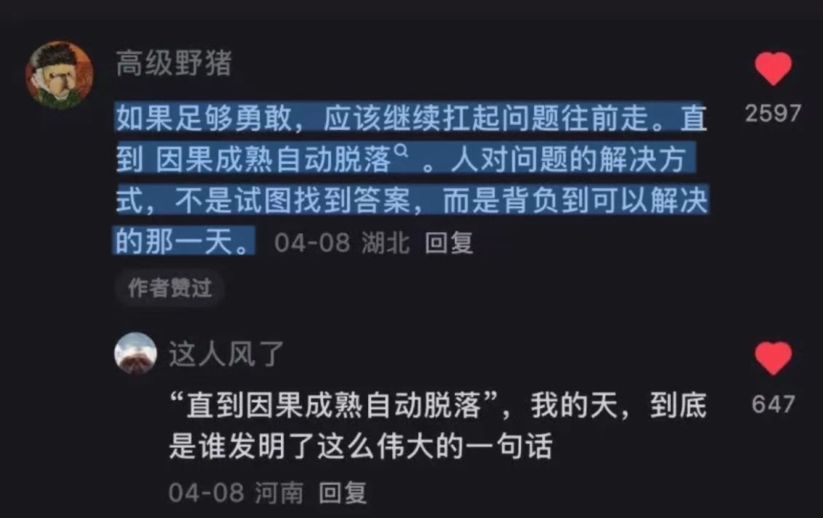 “直到因果成熟自然脱落。”👏 