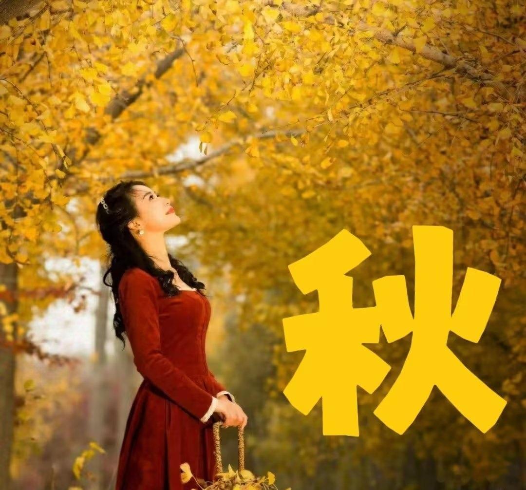 深秋，是一首绮丽的诗，凄美而入心。层层叠叠的枫红，是生命洗礼后的默默诉说；飘飘洒