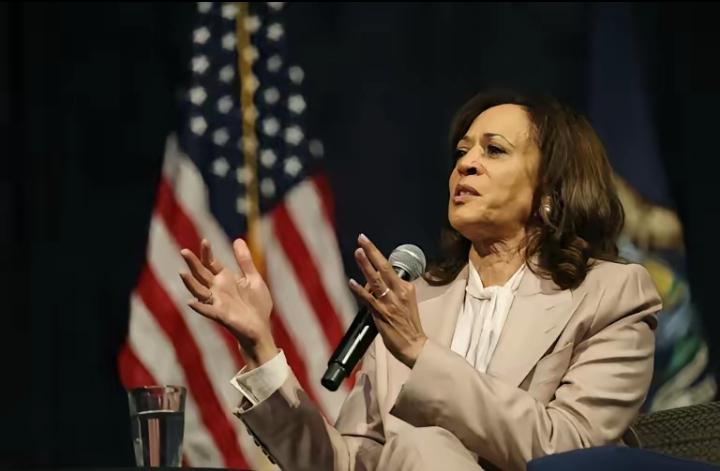 快讯！美国前女副总统哈里斯真厉害竟然把特朗普政府的
“底裤”扒了个精
光。
4月