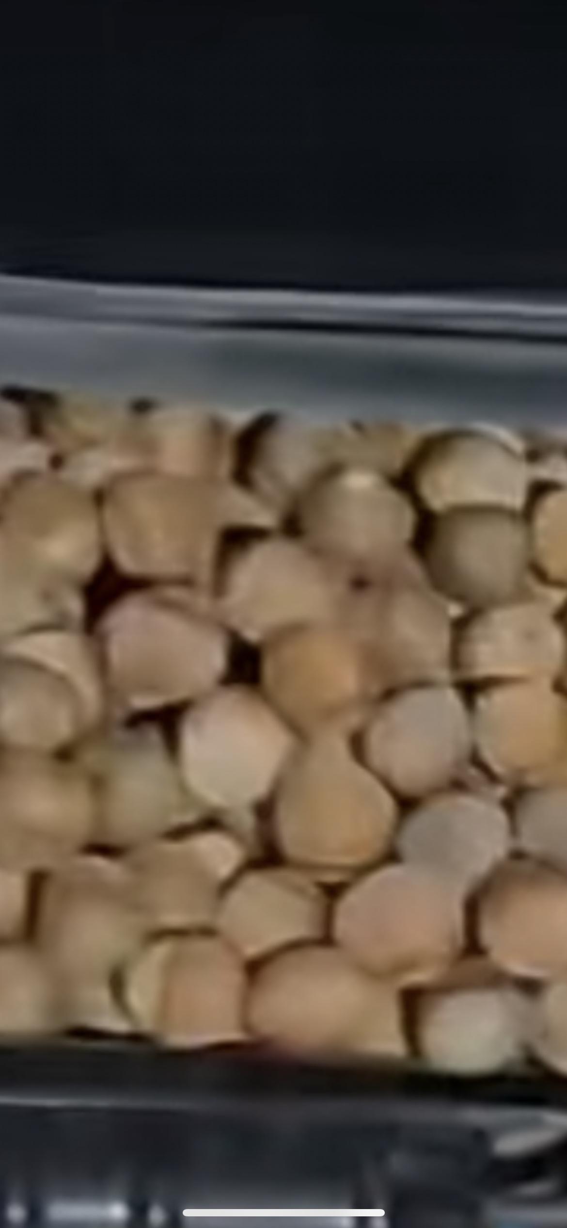 11月21日，黑龙江一男子开车频发异响，打开引擎盖发现塞了20多斤榛子，放车库里