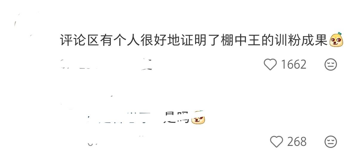 已经见识到了 