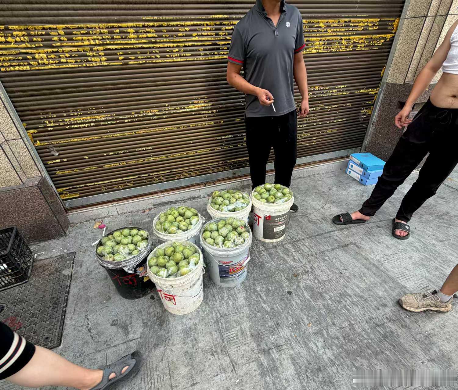 顺丰小哥可能出现在任何场景 