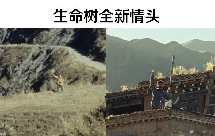 生命树 冷幽默 在巡山队的日常中，总有让人捧腹的笑点，百看不厌的生活瞬间让人回味