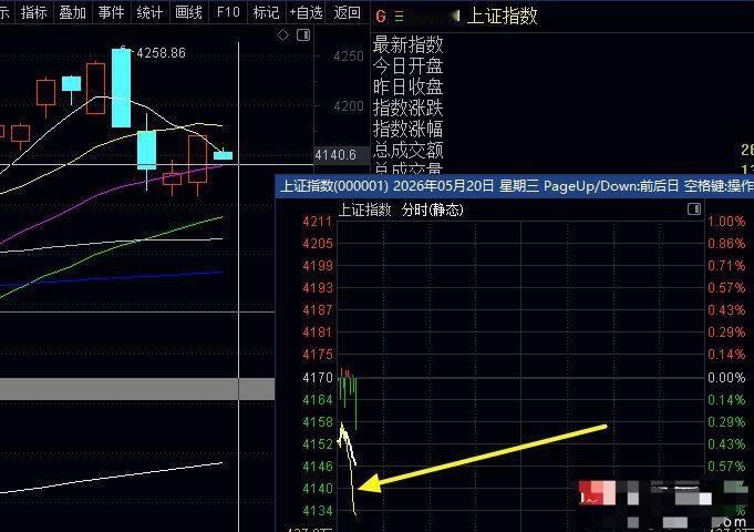 指数大盘低开继续跌，别小看跌幅不大，二八分化的跌，个股集体跳水，看截图的分时黄色