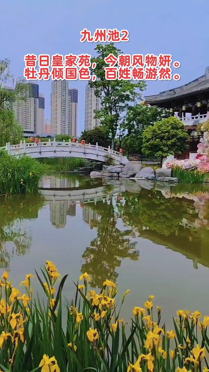九州池2。
昔日皇家苑，今朝风物妍。牡丹倾国色，百姓畅游然。