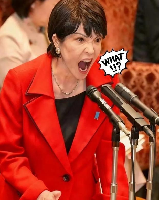 短短72小时，一连5个噩耗，日本陷入了混乱，高市这下彻底没戏了，

进入12月中