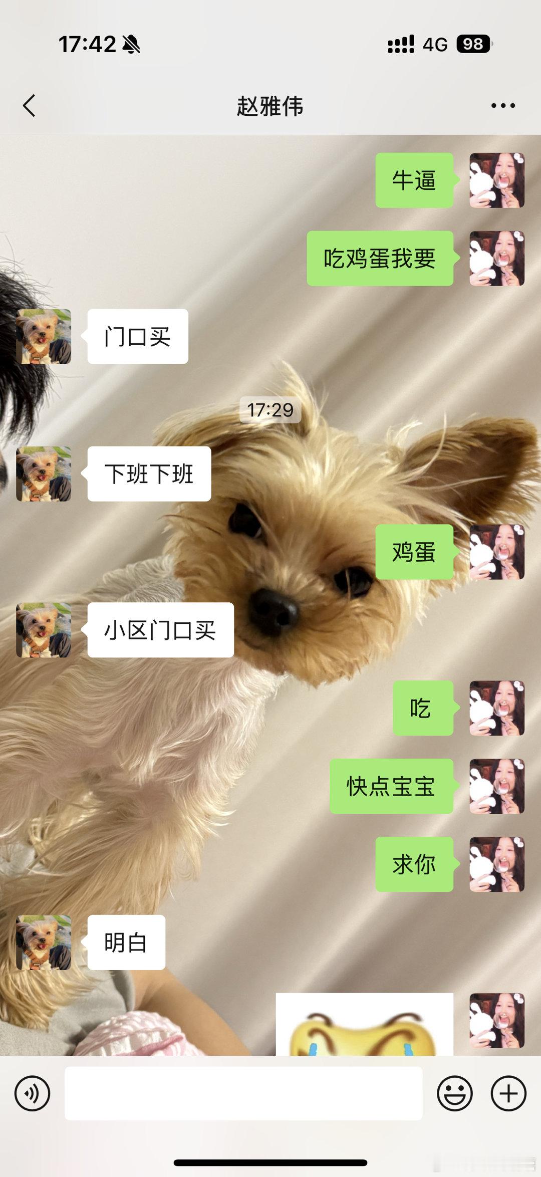 为排空昨天吃的香香玲玲烤肉今天选择液断但忘记没有鸡蛋会饿死的时候疯狂求鸡蛋的我 