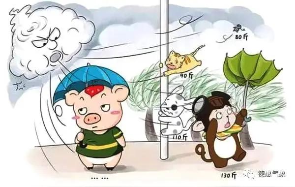 人间最残酷的徒劳：你毕生想传承的一切，终会尽数落空

人世间有一条极少人敢直面、