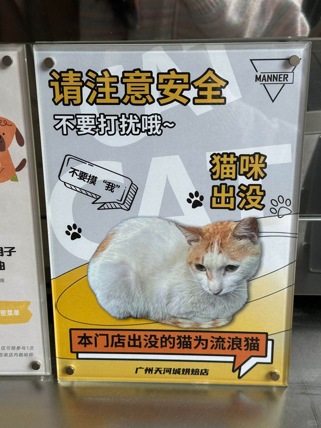 广州只有一家！是可以🆓撸猫的咖啡店
