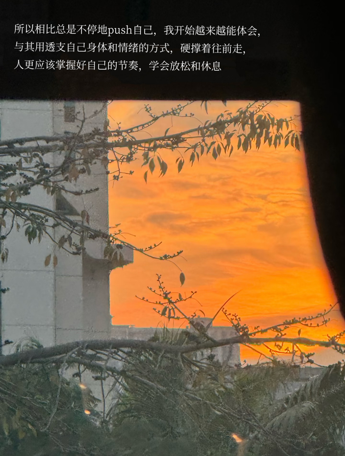 休息好了就会主动升级主动找事做 
