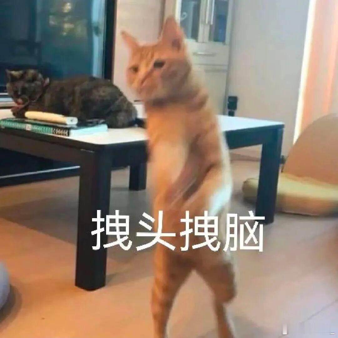 燃油车被时代抛弃了吗俺觉得没有，俺一直挺喜欢燃油车的像卫士的90、保时捷的911