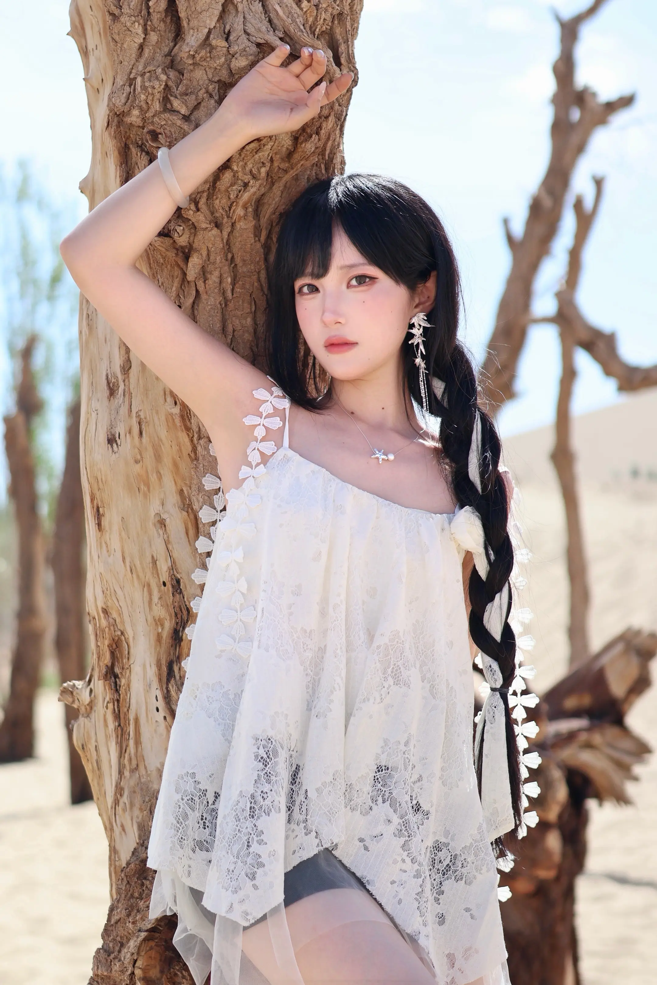 沙漠里倔强的花