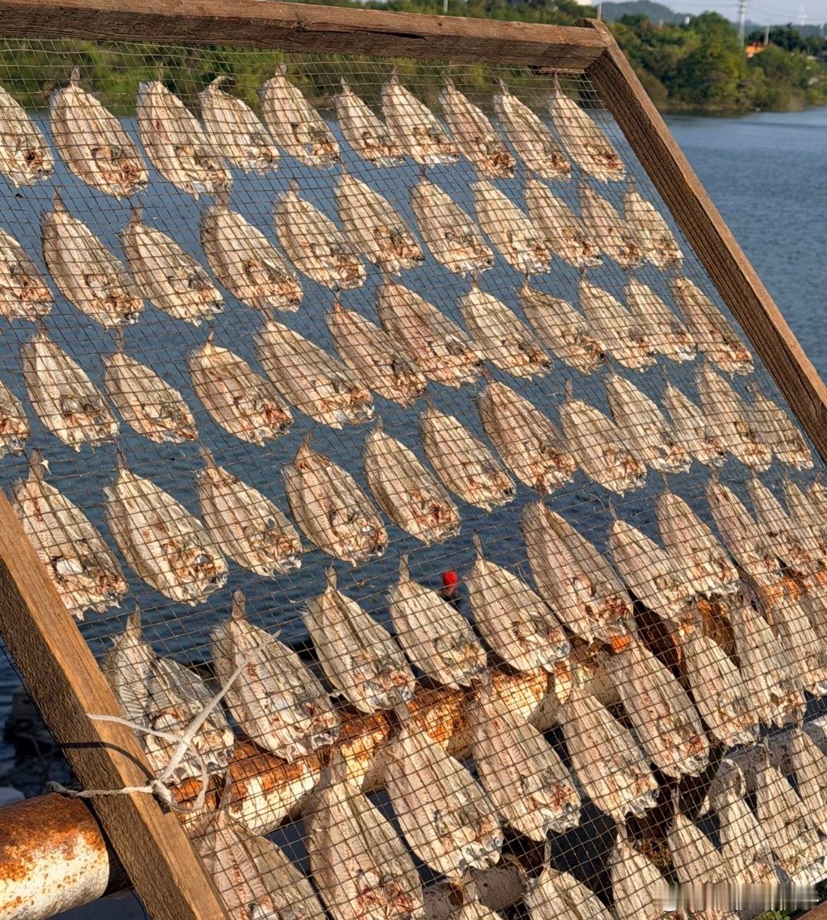 有闲有余但不咸鱼所以是说咸鱼翻身么比起这个我更想知道到底好不好喝 