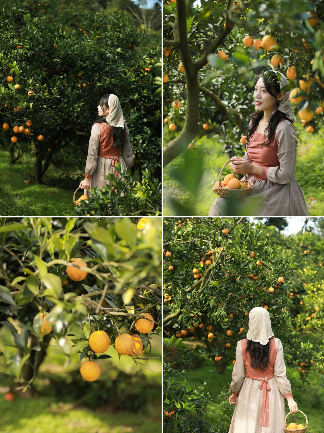 福州🍊味的秋天！边摘边拍也太快乐了！